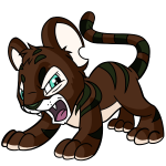 Brown Kougra