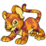 Camouflage Kougra