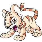 Cream Kougra