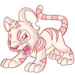 Cream Kougra