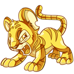 Gold Kougra