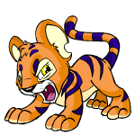 Orange Kougra