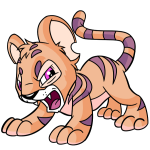 Orange Kougra