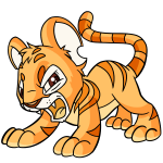 Orange Kougra