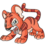 Orange Kougra