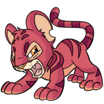 Pink Kougra