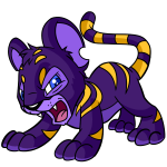 Purple Kougra