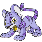 Purple Kougra