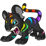 Rainbow Kougra