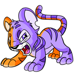 Split Kougra