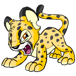 Spotted Kougra