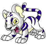 White Kougra
