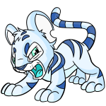 White Kougra