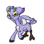 Purple Lulamu