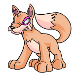 Orange Lupe
