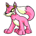 Pink Lupe