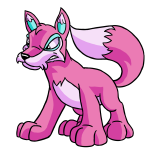 Pink Lupe