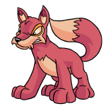 Pink Lupe