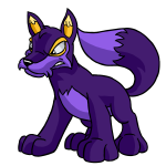 Purple Lupe