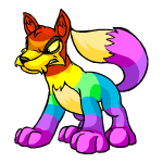 Rainbow Lupe