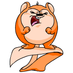 Orange Meerca