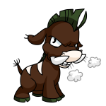 Brown Moehog