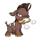 Brown Moehog