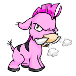 Pink Moehog