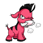Pink Moehog