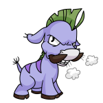 Purple Moehog