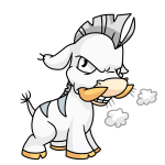 White Moehog