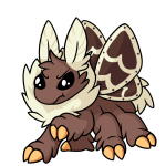 Brown Motere