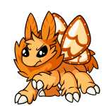 Orange Motere