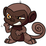 Brown Mynci