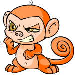 Orange Mynci