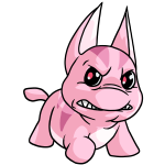 Pink Poogle