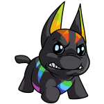 Rainbow Poogle