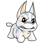 White Poogle