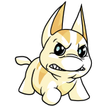 White Poogle