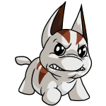 White Poogle