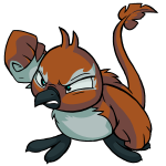 Brown Pteri