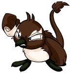 Brown Pteri