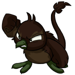 Brown Pteri