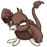Brown Pteri