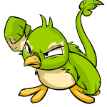 Green Pteri