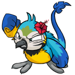 Island Pteri