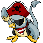 Pirate Pteri