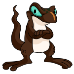 Brown Techo