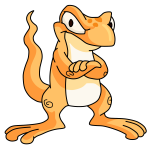 Orange Techo