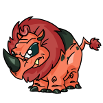 Orange Tonu